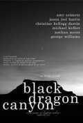 voir la fiche complète du film : Black Dragon Canyon