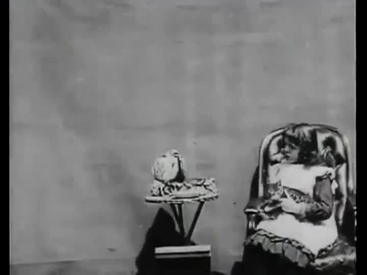 Extrait vidéo du film  Sick Kitten