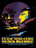 voir la fiche complète du film : Black Orchids