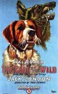 voir la fiche complète du film : Call of the Wild