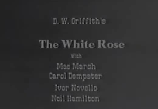 Extrait vidéo du film  La Rose blanche