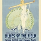photo du film Lilies of the Field