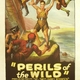 photo du film Perils of the Wild