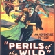 photo du film Perils of the Wild