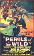 voir la fiche complète du film : Perils of the Wild