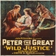 photo du film Wild Justice