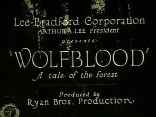 Extrait vidéo du film  Wolf Blood