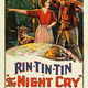 photo du film The Night Cry