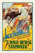 The Wild Horse Stampede