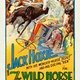 photo du film The Wild Horse Stampede