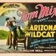 photo du film The Arizona Wildcat