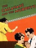 voir la fiche complète du film : The Callahans and the Murphys