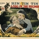 photo du film A Dog of the Regiment