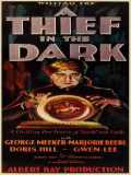voir la fiche complète du film : Thief in the Dark