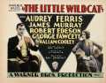 voir la fiche complète du film : The Little Wildcat