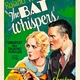 photo du film The Bat Whispers