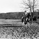 photo du film The Light of Western Stars