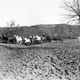 photo du film The Light of Western Stars