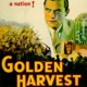 photo du film Golden Harvest