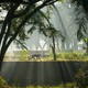 photo du film Au royaume des singes