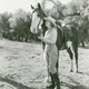 photo du film Under the Tonto Rim