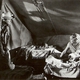 photo du film Blanco, seigneur des prairies