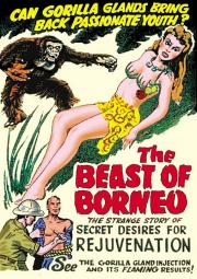 voir la fiche complète du film : The Beast of Borneo