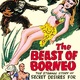 photo du film The Beast of Borneo