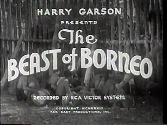 Extrait vidéo du film  The Beast of Borneo