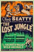 Perdus Dans La Jungle