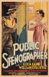 Public Stenographer