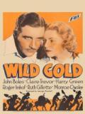 voir la fiche complète du film : Wild gold