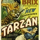 photo du film Les nouvelles aventures de Tarzan