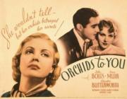 voir la fiche complète du film : Orchids to You