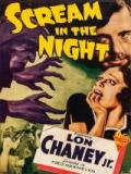 voir la fiche complète du film : A Scream in the Night