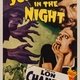 photo du film A Scream in the Night