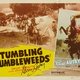 photo du film Tumbling Tumbleweeds