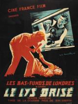 Le Lys brisé