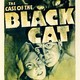 photo du film Le Mystère du chat noir
