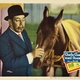 photo du film Charlie Chan aux courses