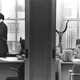 photo du film L'Intouchable, Harvey Weinstein