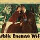photo du film La femme de l'ennemi public