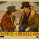 photo du film The Voice of Bugle Ann