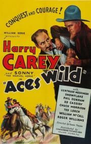 voir la fiche complète du film : Aces Wild