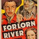 photo du film Forlorn River