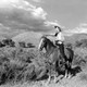 photo du film Forlorn River
