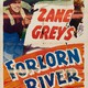 photo du film Forlorn River