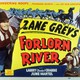photo du film Forlorn River