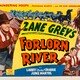 photo du film Forlorn River
