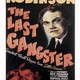 photo du film Le dernier gangster